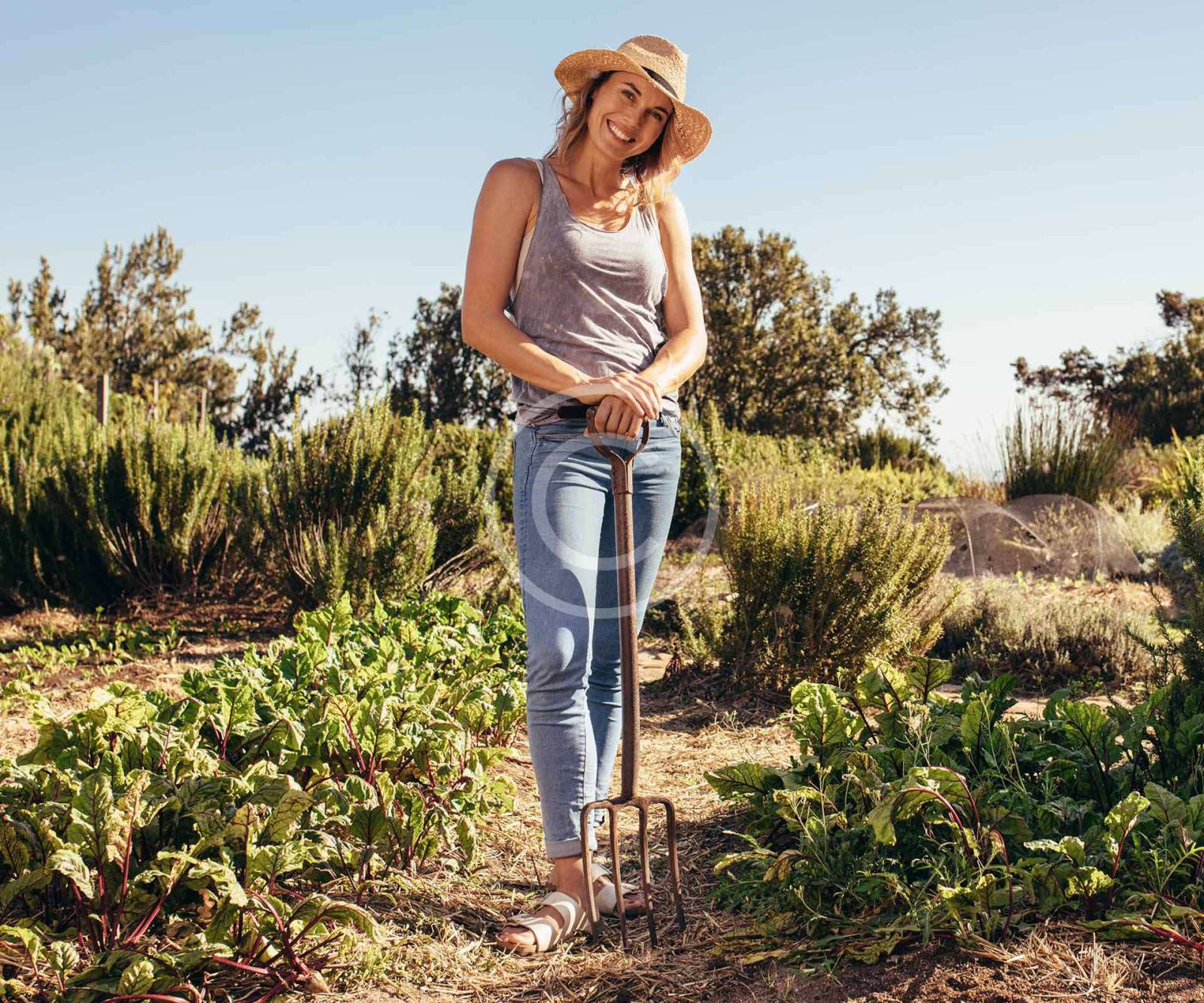 Talented Farmers